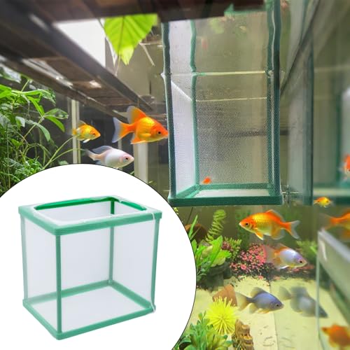 MY MIRONEY 2PCS 6.69" x 5.04" x 6.38" Fish Tank Breeder Green Nylon Fish Incubator Mesh Box Aquarium Fish Fry Hatchery Breeder with Suction Cups - style: 6.69" x 5.04" x 6.38"; Green; without Divider