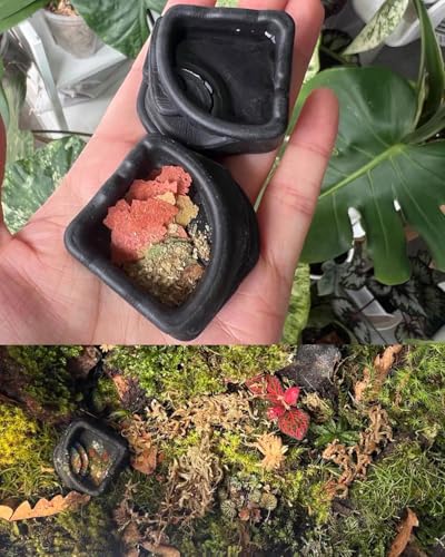 9 PCS Spider Micro Water Bowls, Mini Resin Dishes for Tarantulas, Spiders, Hermit Crabs, Millipedes and Tiny Reptiles, for Food & Water