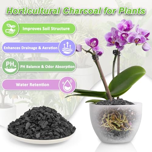3 Quarts Horticultural Charcoal for Plants-Plant Charcoal Soil Amendment for Potting Indoor Plants, Succulent, Paphiopedilum, Bonsai, Terrarium,and Gardening - size: 3 Quarts