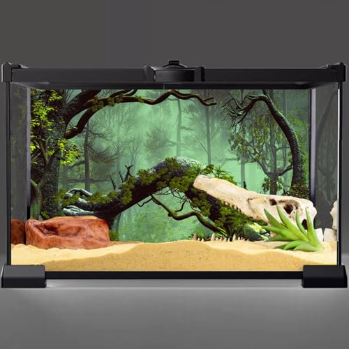 AWERT 48x24 inches Foggy Forest Terrarium Background Stone Green Tree Tropical Reptile Habitat Background Rainforest Aquarium Background Durable Polyester Background - size: 48x24in/120x60cm