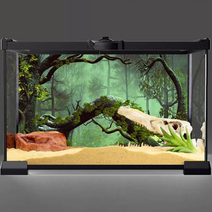 AWERT 48x24 inches Foggy Forest Terrarium Background Stone Green Tree Tropical Reptile Habitat Background Rainforest Aquarium Background Durable Polyester Background - size: 48x24in/120x60cm