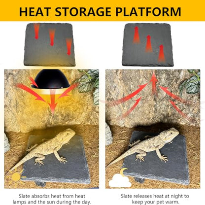 Reptile Basking Platform 2Pcs 6.0''x6.0'' Turtle Rock Plate Slate Feeding Food Dish Bowl Bathing Rest Terrace for Chameleon Lizard Bearded Dragon Gecko Snake Frog Newt (6.0''/15CM) - size: 6.0 inches