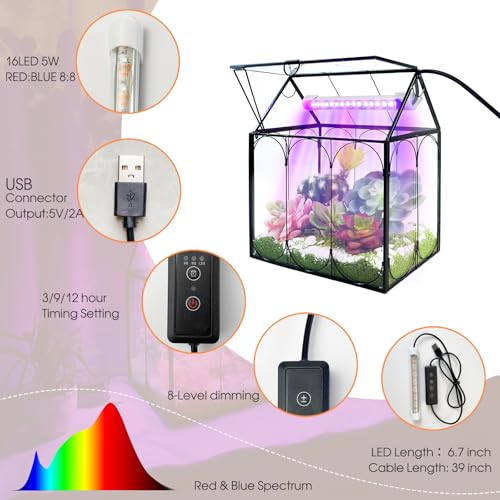Plant Grow Light for Plant Terrarium, 16 LEDs 5W Plant Light