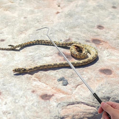 ABOOFAN Retractable Stainless Steel Snake Hook Adjustable Long Handle Portable Reptile Catching Tool for Snake Handling and Reptile Care