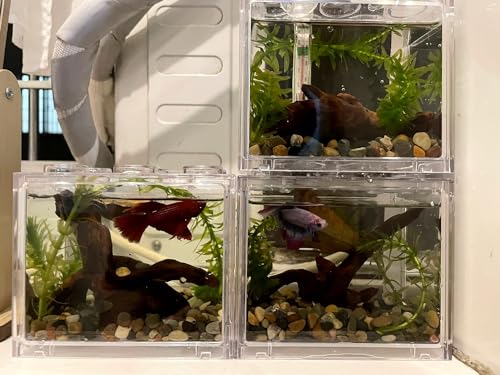 YZHZOM Small Natural Driftwood for Aquarium Styling Carefully Selected Natural Aquarium Decor Driftwood for Reptile Tank Reptile Tank Wood Decor (Driftwood 4-6inch 4pcs) - style: Driftwood 4-6inch 4pcs