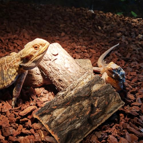 SOIMISS 5 Pcs Reptile Tank Background Cork Bark Sheets for Terrarium Tree Bark Decor Hide Log for Gecko Bearded Dragon Turtle and Lizard Enclosures 5.90 X 5.90 X 0.78 in