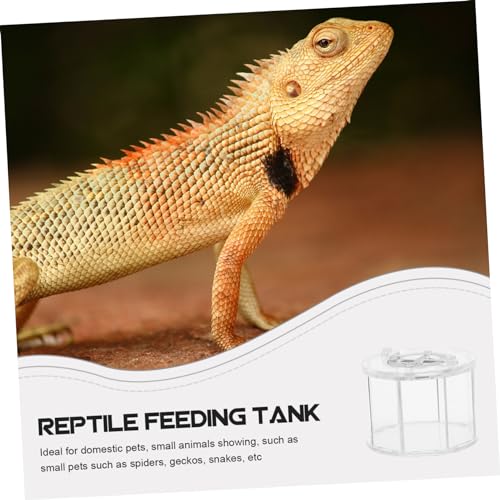 Generic Acrylic Reptile Display Container for Lizards Snakes and Ventilation Lightweight and Portable Feeding Box for Outdoor Use