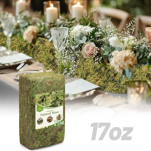Alphatool 17oz Large Pack Natural Green Moss for Crafts - Bulk Moss for Plants Indoor, Artificial Fairy Gardens, Mosswall, Glass Terrariums, Filling Fake Plants, Home Decoration, Professional DIY Use - color: 17 Oz