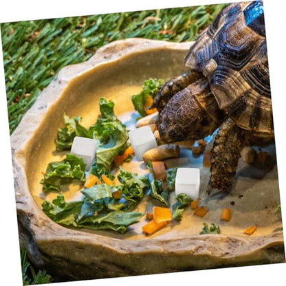 Toddmomy 30pcs Climbing Pet Calcium Block Amphibian Health Products Tortoise Lizard Chameleon Lizard Frog Chameleon Frog Reptiles Health Chameleon Reptiles Stone for Turtle