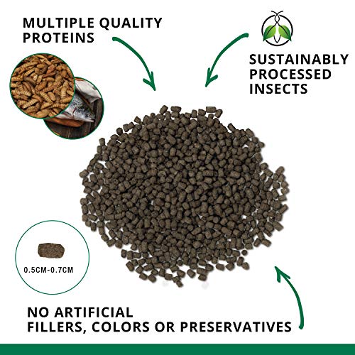 Fluval Bug Bites Turtle Food, Pellets for Small to Medium Sized Turtles, 1.5 oz., A6592, Brown - size: 1.5 Ounce (Pack of 1)
