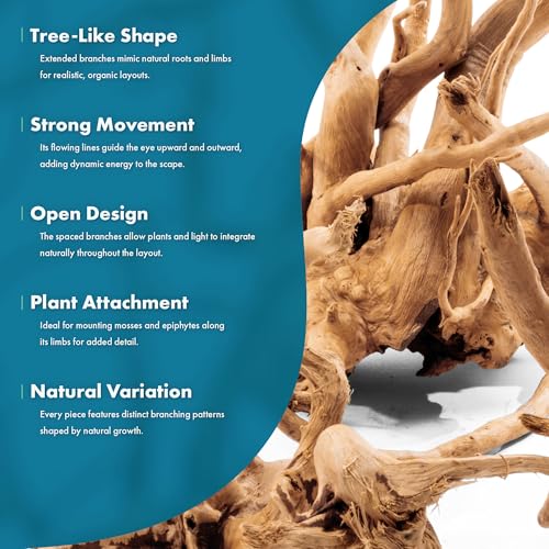 SubstrateSource Natural Aquarium Driftwood for Fish Tanks, Terrarium, Reptile Habitats, Freshwater Aquatic Decor - Small to Large Pieces (Spiderwood (Small) 4-6", 1 Piece) - size: 1 Piece