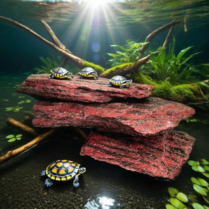 HAELFMRI 20 Lbs Natural Grey Slate Stones - Craggy Layered Rocks for Aquarium Hardscape & Iwagumi, PH Neutral Fish Tank Decor for Shrimp & Cichlids, Mixed Sizes 2-9 Inch for Terrarium
