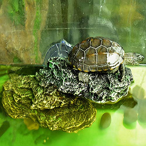 Turtle Basking Platform Reptile Climbing Shale Resin Step Ledge Stone Aquarium Ornament Rock Landscaping Decoration with Suction Cups for Frogs Newts Amphibians Lizard (Medium:8.2”Lx3.3”Wx3.1”H)