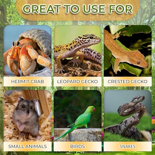 Hermit Crab, Hamster Coconut Cave Hide with Ladder, Reptile & Snake Natural Coco Shell Hut Hideout, Gerbils Mice Small Animals House Pet Cage Habitat Decor, with Sticky Wall Hook - style: Small