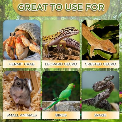 Hermit Crab, Hamster Coconut Cave Hide with Ladder, Reptile & Snake Natural Coco Shell Hut Hideout, Gerbils Mice Small Animals House Pet Cage Habitat Decor, with Sticky Wall Hook - style: Small