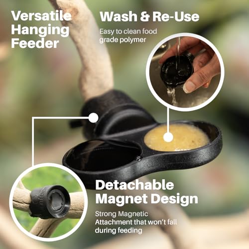 Pangea Microdish Kit for Gecko Feeding, Tiny Water Dish for Micro Geckos, Anoles, and Other Small Reptiles, Zip Tie Attachment Pet Food Bowl 1.25in (XS Dual Branch Mount) - size: XS Dual Branch Mount