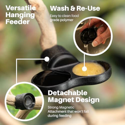 Pangea Microdish Kit for Gecko Feeding, Tiny Water Dish for Micro Geckos, Anoles, and Other Small Reptiles, Zip Tie Attachment Pet Food Bowl 1.25in (XS Dual Branch Mount) - size: XS Dual Branch Mount