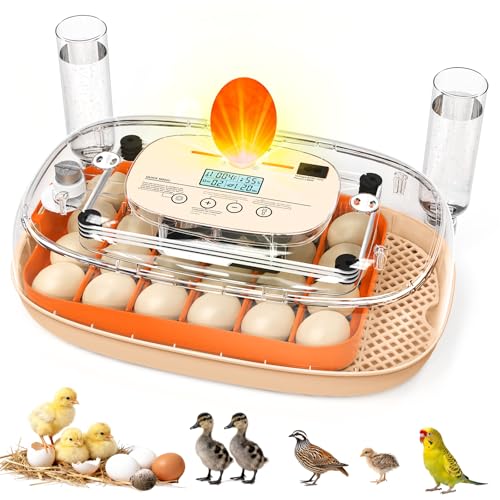 Egg Incubator for 24 Chicken Eggs with Automatic Turner, Digital Temperature Control & Humidity Display, Candler, Poultry Hatcher for Chicken, Duck, Quail, Birds (Orange) - color: Orange