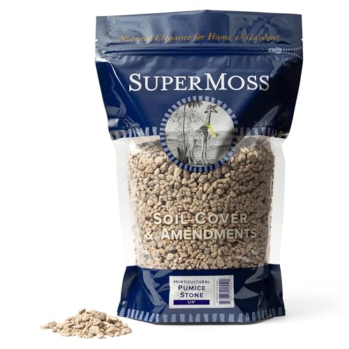 SuperMoss (24552) Horticultural Pumice Stone – Premium Soil Amendment for Succulents, Cactus, Bonsai & Orchids – Ideal for Terrariums, Bonsai Pots & More, 1/4” Sifted, 2 Quarts Bag - size: 2 Quarts