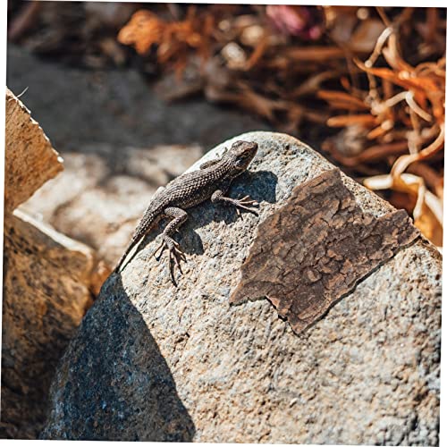 Mipcase 10pcs Cork Bark for Terrarium Reptile Tank Decor Turtle Platform Natural Reptile Tree Bark Set