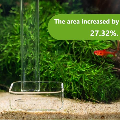 LINLAN 13.78 Inch Glass Shrimp Feeder, Aquarium Feeding Tube and Square Bowl with Two Suction Cups to Prevent Food from Spreading, for Crystal Shrimp and Cherry Shrimp - size: 35CM