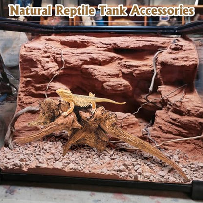 Hamiledyi Reptile Plants Bendable Jungle Climbing Vine Terrarium Branch and Large Driftwood for Reptile Tank 11-16" Natural Bearded Dragon Wood for Ball Python Gecko Lizard Chameleon Iguana