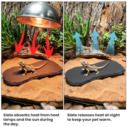 Tlence 3 Pack Reptile Basking Platform, 11''x5.5'' Tortoise Rock Plates, Bearded Dragon Feeding Slate, Lizard Bathing Resting Rock Slab for Gecko Chameleon Snake Frog Habitat Accessories