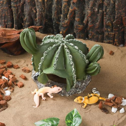 IBWell Resin Cactus Leopard Gecko Hide Reptile Cave，Desert Terrarium Décor，Bearded Dragon Hideout, Small Reptile Hide