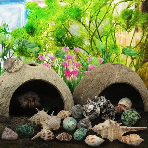 QUOZUO Hermit Crab Shells Natural Coconut Shell Hut Artificial Plants, 22 PCS Hermit Crab Supplies Seashells for House Hermit Crab Tank Habitat