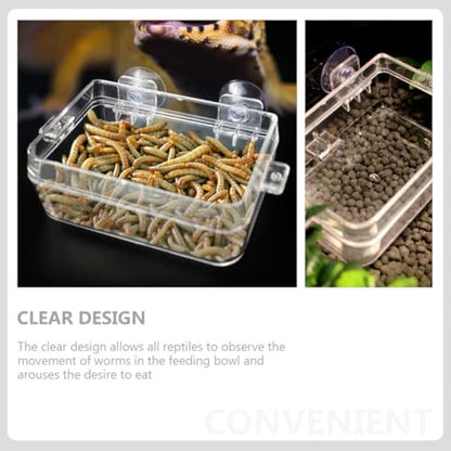DOITOOL Lizard Feeding Bowl with Suction Cup Anti-Escape Reptile Pet Bowl Large Size Multi-Function Food Cup for Terrarium Reptile Feeding