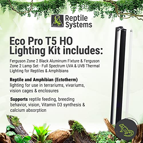 Reptile Systems Eco T5 Unit Zone 2 Reptile Lighting Kit – 24in-24w - Slimline Fixture with HOT5 Lamp, Reflector & Flicker-Free Ballast – Ideal for Terrariums, Chameleons & Geckos - size: 22in-24w