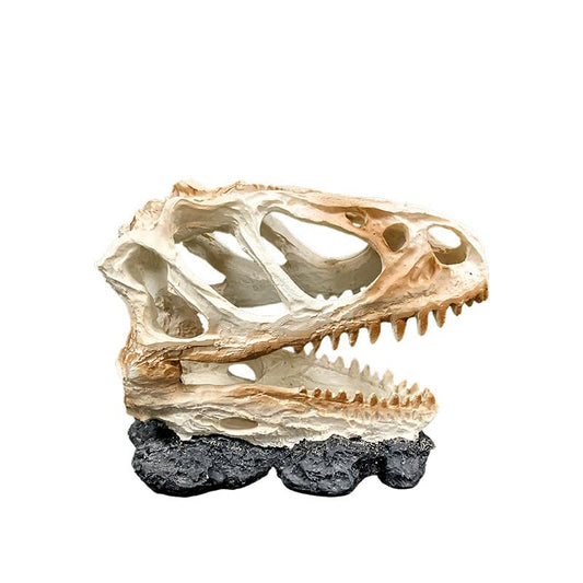Aquarium Underwater Artificial Hideouts House Resin Aquarium Decorations Art Terrarium Habitat Ornament Fishtank Decorations Large Skull - color: C