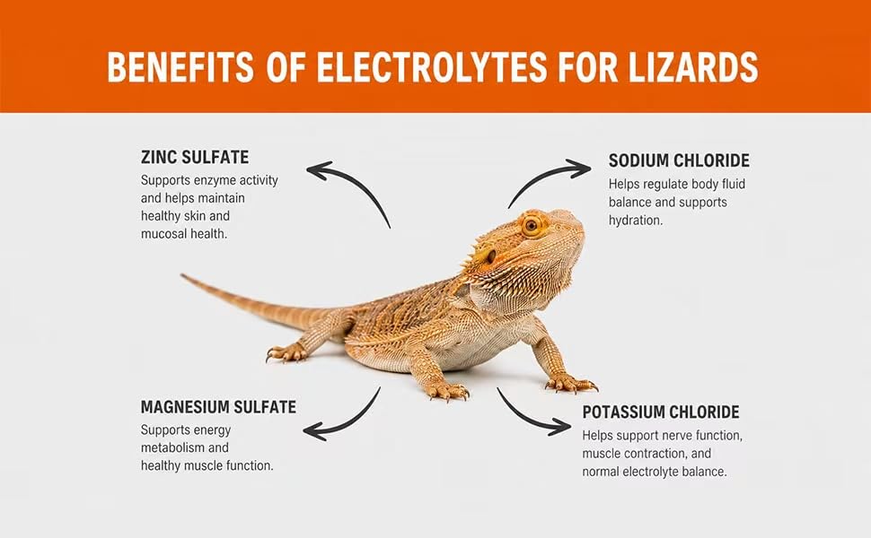 Lizard Electrolyte Powder – 2.82 oz (80 g) – Relieves Dehydration in Bearded Dragons and Geckos – Can be Administered orally or Added to Water (Banana Flavor)
