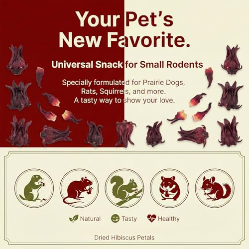 RAINFLOW Hibiscus Flower Treat (5.3oz)– Healthy Dried Hibiscus Flowers Small Animal Treats for Chinchilla, Guinea Pig, Natural Pet Snacks Hamster Treats for Rabbit,Rats, Squirrels, Sugar Glide