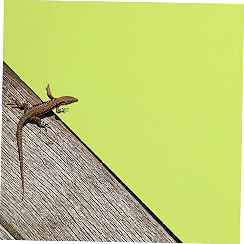 2pcs Reptile Mat for Terrarium Bedding and Comfortable Habitat Pad for Tortoises Lizards and Climbing Pets - size: 150X45CM