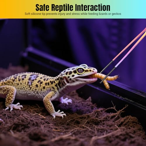 Reptile Feeding Tongs - Stainless Steel Clamp | Long Tongs With Rubber Tip for Bearded Dragons, Lizards, Amphibians, Reptiles, Aquarium, Terrarium, Tank, Supplies - color: TO