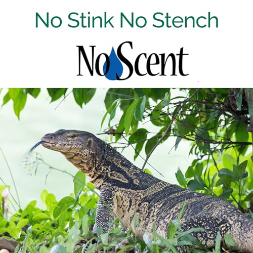 No Scent Reptile - Professional Pet Waste Odor Eliminator and Cleaner - Safe All Natural Probiotic & Enzyme Formula Smell Remover for Tanks Terrariums Enclosures and Substrates (2 oz x 2) - size: 2 Fl Oz (Pack of 2)