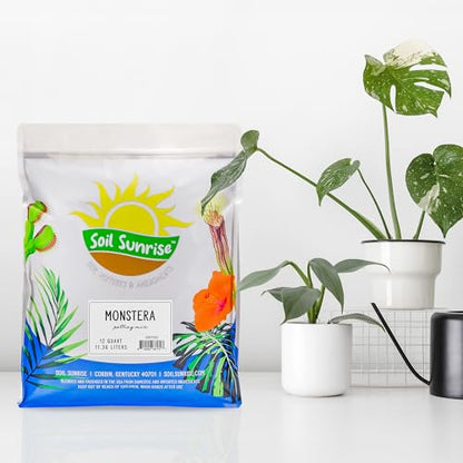 Soil Sunrise Monstera Houseplant Potting Soil Mix (30 Quarts) Custom Blend for Growing and Repotting - size: 30 Quarts