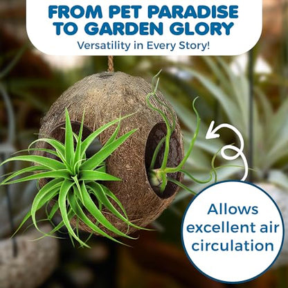 SunGrow Hermit Crab Hut Cozy Crabitat Coconut Shell with Hanging Loop and Climbing Accessory