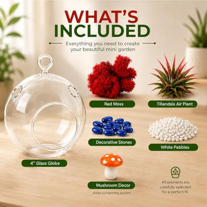 Creations by Nathalie - DIY Terrarium Kit with Live Air Plant (Local & Fresh from Florida), Reindeer Moss, Figurine, Healing Crystal Chips and Sand - Handmade in USA (4" Glass Globe) - color: 4" Glass Globe