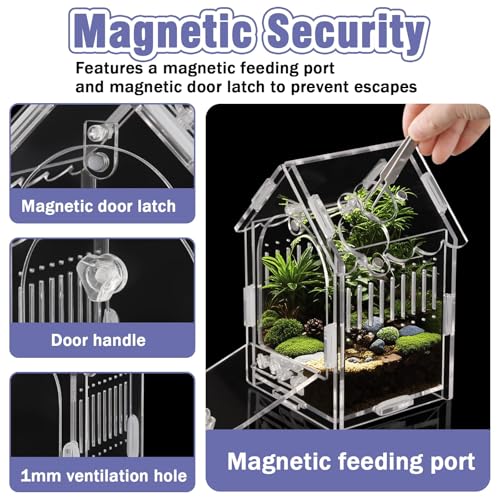 Acrylic Jumping Spider Enclosure with Magnetic Latch - color: Transparency