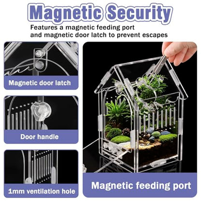 Acrylic Jumping Spider Enclosure with Magnetic Latch - color: Transparency