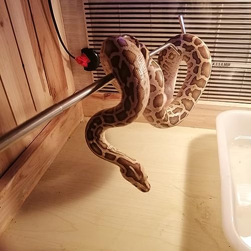 Totority Stainless Steel Retractable Snake Hook Tool Professional Reptile Supplies for Snakes and Reptiles Easy to Carry Duckbill for Safe Handling