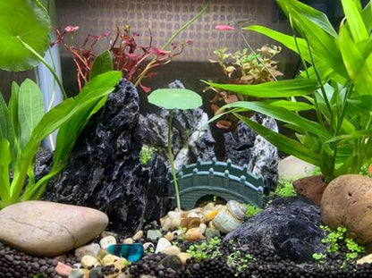 Unocho Aquarium Rocks Natural Seiryu Stone 20lb Aquascaping Rocks for Fish Tank Aquarium Landscaping Decoration Paludarium Amphibian Enclosures(3-10 Inches) - size: 20LB(3-10 inches)
