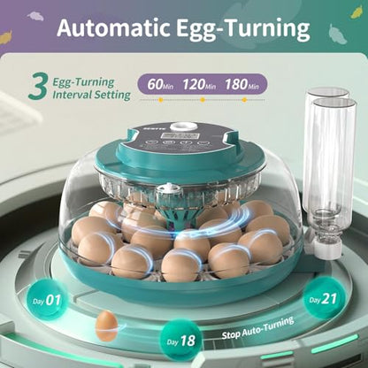 Automatic Egg Hatcher with LED Screen, Large Egg Incubator with Adjustable Turning & Humidity System, Transparent Lid Incubator for Chicken, Quail and Poultry Eggs (Holds 18 Eggs)