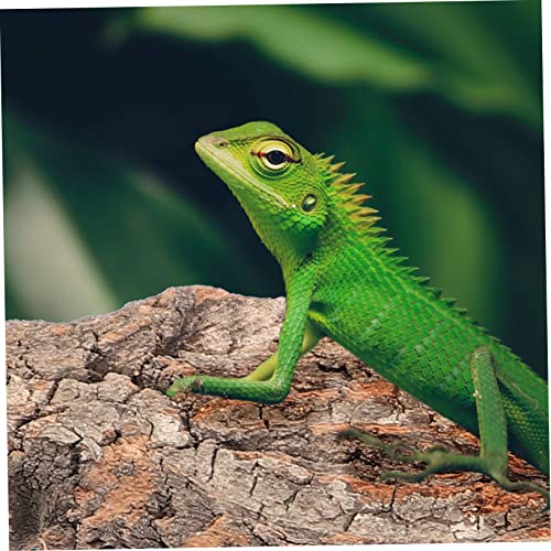 4pcs Cork Bark for Reptiles Natural Tree Bark Decoration for Terrarium Climbing Platform for Snakes Lizards Bearded Dragons and Other Crawling Pets