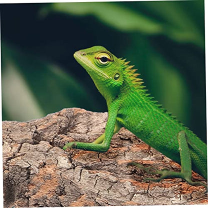 4pcs Cork Bark for Reptiles Natural Tree Bark Decoration for Terrarium Climbing Platform for Snakes Lizards Bearded Dragons and Other Crawling Pets