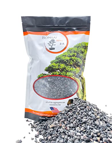 Black Lava Rock | 2 Quarts Bag | 1/4” Particle Size | Soil Aggregate for Bonsai, Cactus, Succulents, Aquariums, and More | Enables Optimal Drainage and Soil Aeration | The Bonsai Supply - size: Black Lava Rock 2 Quarts