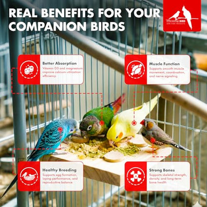 Morning Bird Calcium Plus Powder for Birds 2 oz – Calcium Supplement with Essential Vitamins & Minerals – Supports Bone Health, Muscle Function & Digestive Balance – Easy-to-Mix Calcium Formula - size: 2 Oz