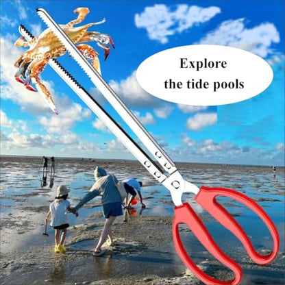 2 Pcs Tongs for Live Crab, Reptile Feeding, Snake,Eel,Charcoal, Crabs, Shells Picking Tongs at Low Tide Explore The Tide Pools